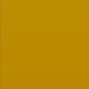 Meet your Posher, Corey